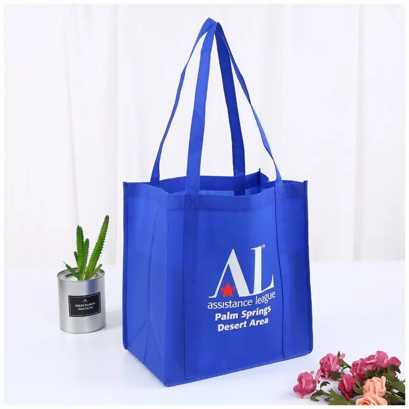 Wholesale and custom non woven polypropylene shopping bags in USA